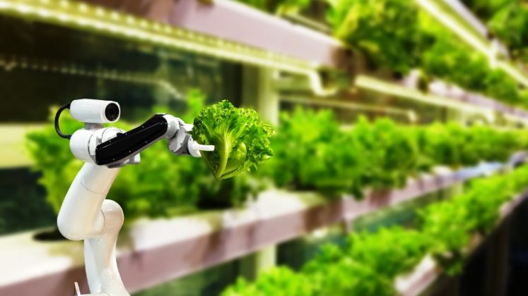 Top Agricultural Technologies in the 21st Century
